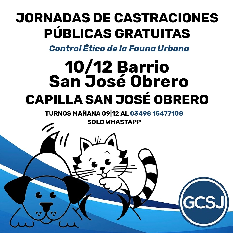 JORNADA DE CASTRACIONES PÚBLICAS GRATUITAS.