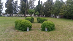 DEL ÁREA CEMENTERIO DE LA MUNICIPALIDAD DE LA CIUDAD DE SAN JUSTO... A 50 AÑOS DEL TORNADO.