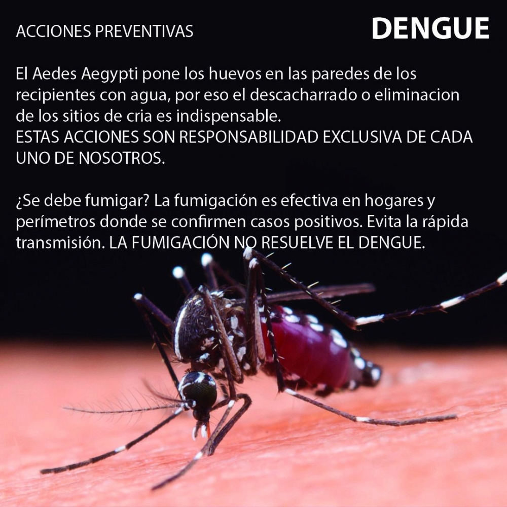 ACCIONES PREVENCIÓN DENGUE...