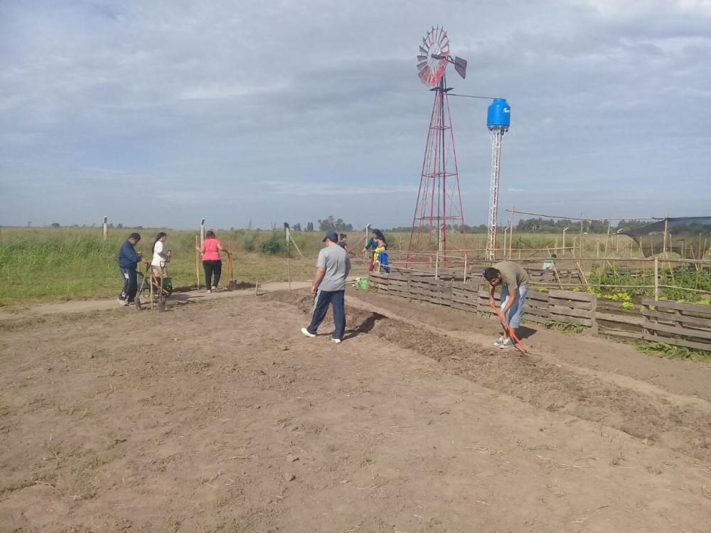 Huerta orgánica en el Centro de Inclusión Laboral del Gobierno de la Ciudad de San Justo.