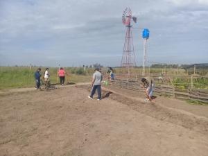 Huerta orgánica en el Centro de Inclusión Laboral del Gobierno de la Ciudad de San Justo.